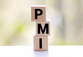 Illustration of PMI insurance, showcasing how it safeguards businesses from potential financial losses.